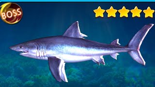 Fishing Hook BOSS Porbeagle shark  F6 POON [upl. by Mathi]