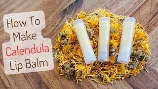 Easy Calendula Lip Balm Recipe  Calendula Infused Oil [upl. by Jerold]