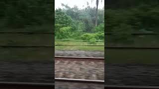 Raipur to bihar [upl. by Adnalue]