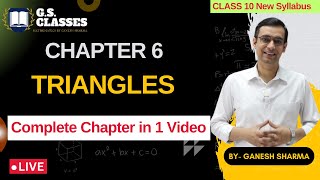 Triangles Class 10 Maths 202425 [upl. by Fidela]