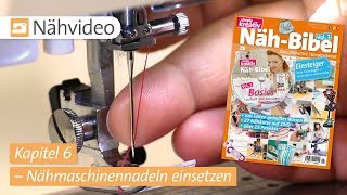 Nähvideo Nähmaschinennadel einsetzen – Kapitel 6 NähBibel Vol 1 [upl. by Landa784]