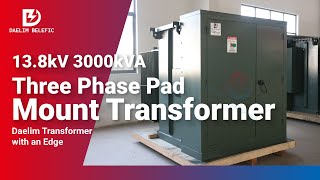 138 kV 3000 kVA Three Phase Pad Mount Transformer  Daelim Transformer [upl. by Ardnuek]