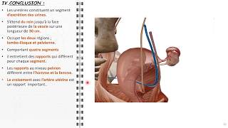 ANATOMIE FMPM LA SCAPULA [upl. by Odnaloy689]