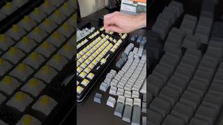 Gateron Milky Yellow’s on Drop CTRL asmr keyboard gateron mechanicalkeyboard creamy [upl. by Martie680]