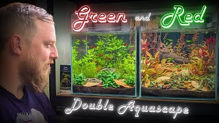 Splitting an aquascape How I created TWO colour coordinated aquariums [upl. by Girard]