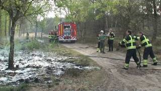 Grote brand verwoest hectare bos [upl. by Polad431]