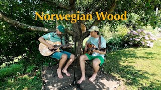 Norwegian Wood  The Beatles PRIDA Cover [upl. by Bowe897]