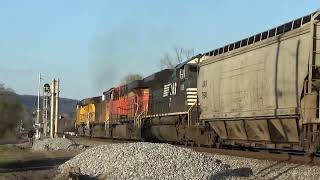 NS 174 mixed freight by N Rockwood main to main 33024 UP amp BNSF power in lash up [upl. by Maggee194]