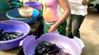 Nigerian Food how to Point amp Kill fish NaijaStyle [upl. by Benedetto]