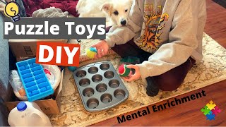 Brain Games for Dogs  DIY Puzzle Toys [upl. by Gersham]