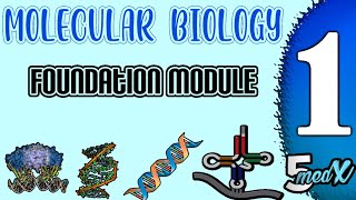 Molecular biology foundation module  lecture 1 [upl. by Tiras]