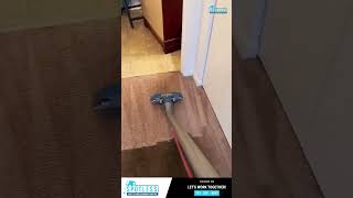 This is How We Clean your Dirty Carpet shorts reels carpetcleaningservice [upl. by Snave]