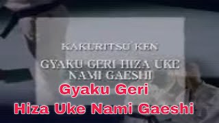 Gyaku Geri Hiza Uke Nami Gaeshi [upl. by Sue]