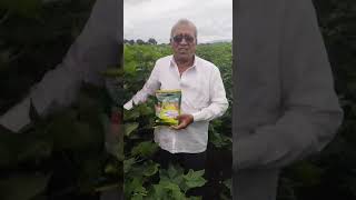 organicfarming in madhyapradeshshorts 7415187878 [upl. by Barbe248]