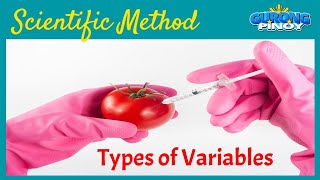 Scientific Method Steps Part 3 Types of Variables [upl. by Fleming]