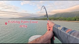 Land Based Fishing Palm Cove Jetty [upl. by Nyladam974]