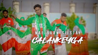 MUSTAFE DOLLAR  NAF BAAN SIISTAY CALANKEYGA  18 MAY [upl. by Ledua]