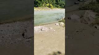 Rishikesh travel nature forest river ganga [upl. by Aurore300]