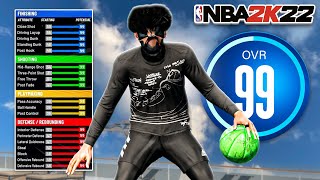 it took 10 months to FIND this BUILD in NBA 2K22 [upl. by Utta61]