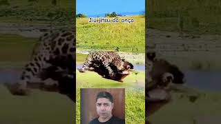 jiujitsu da onça na garganta do jacaré sem chance no Pantanal [upl. by Nealey]