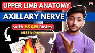 Upper Limb Anatomy  Axillary Nerve  MBBS 1st Year  Full Explanation With Exam Notes  MBBS World [upl. by Anelav]