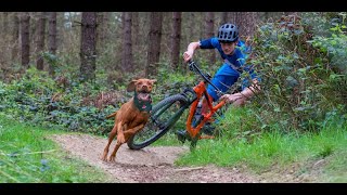 DOWNHILL Vs DOGS [upl. by Oshinski]