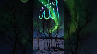 Kapon amer apon kobor amer apon gojolringtone gojol naatsharif youtubeshorts youtubevideo [upl. by Ajram844]