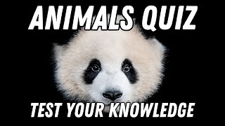 Animal World Quiz  How Many Can You Answer 100 Questions [upl. by Latsirc]