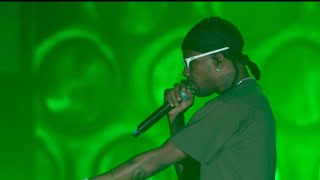 Travis Scott Performing Goosebumps in Costinesti Romania at Beach Please Festival [upl. by Goodhen]