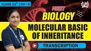 Transcription  CH 5 Molecular Basis Of Inheritance  For Class 12 Biology [upl. by Monjo]