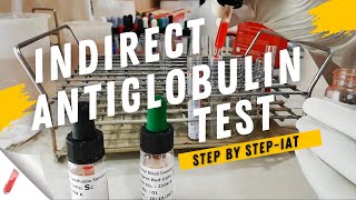 Indirect Coombs Test Procedure  Indirect Antiglobulin Test IATStep by Step [upl. by Lehcar]