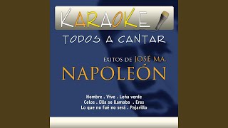 Pajarillo Karaoke Version Originally Performed By Napoleón [upl. by Abad]