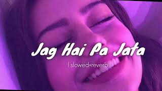 Jag Hai Pa Jata  slowed reverb  Bhojpuri song [upl. by Nylknarf900]