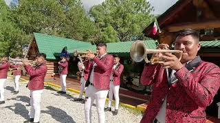 BANDA ESTRELLAS DEL PACÍFICO  LOS SONES DE POCHUTLA  VIDEO OFICIAL [upl. by Udela]