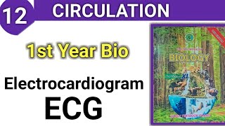 Electrocardiogram ECG  Circulation class 11 bio [upl. by Ynotna]