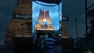 🦚murugan godvadapalanimurugantemple shortsfeed shorts🦚🙏🙏🙏 [upl. by Ramos]