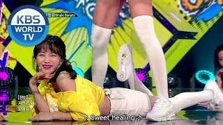 AOA  Bingle Bangle 빙글뱅글 Music Bank  20180615 [upl. by Anilam]