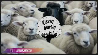 Azahriah  blvck Kiszin Martin REMIX [upl. by Bedelia]