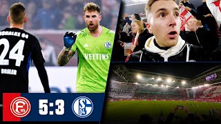 DÜSSELDORF vs SCHALKE 53 Stadion Vlog 🔥 Das ist erbärmlich [upl. by Ileek682]