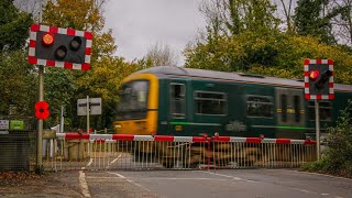 Betchworth Level Crossing Surrey 291024 [upl. by Goerke763]