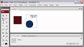 Flash Tutorials Group Objects [upl. by Ailhad796]