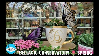 Secret Walkway To VEGAS Bellagio Conservatory 🌹 Spring Display 2024 [upl. by Mulderig]