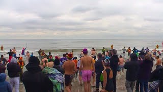 Hundreds take the plunge in Oakville for 39th annual Courage Polar Bear Dip [upl. by Swayne]