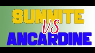 SUNNITES VS ANCARDINES [upl. by Ayortal]