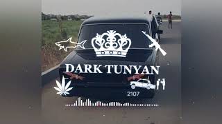 Xcho vorani DARKTUNYAN REMIX [upl. by Paderna]