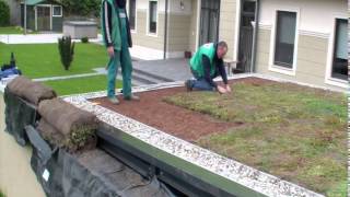 ArchiGreen® Ltd  Building an extensive green roof in a couple of hours [upl. by Oliver]