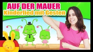 Auf der Mauer auf der Lauer  Kinderlied mit Gesten  Kinderlieder deutsch  Titounis [upl. by Niliak]