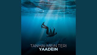 Tanhai Mein Teri Yaadein [upl. by Lucretia]