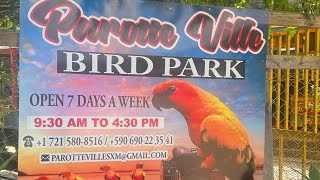 Parrot Ville Bird Park  St Marten [upl. by Cartwell]