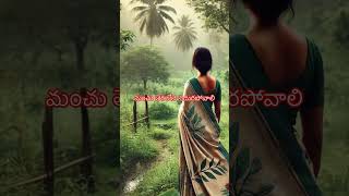 song chinna chinna aasai movie Roja minmini lyrics hit evergreenhits telugu yt songlyrics [upl. by Cynthia470]